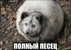 Черная пятница в gif'ках