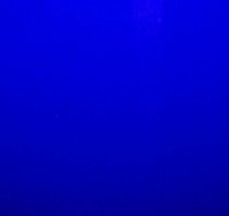 Назван главный цвет наступающего 2020 года