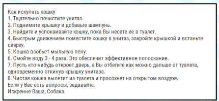 Обиженный купанием кот стал звездой соцсети