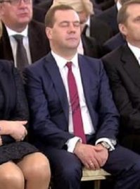 А как же это животное?