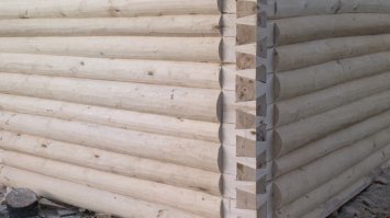 ласточкин хвост