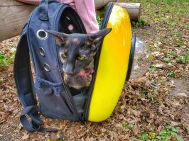 Примерно вот так может быть: