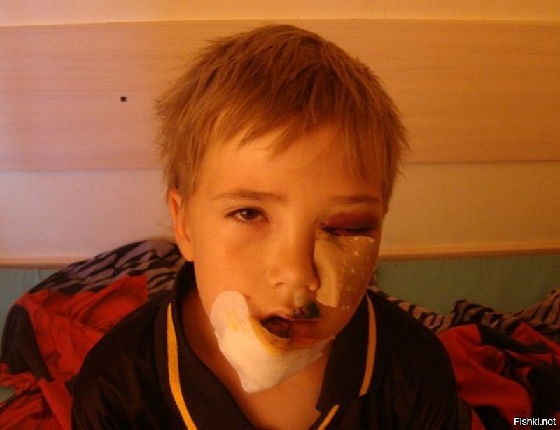 собака - всегда собака.