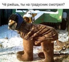 В новогоднюю ночь, согласно прогнозам синоптиков :   :)