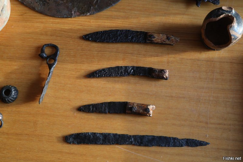 Археологи нашли на Дону погребение скифской амазонки