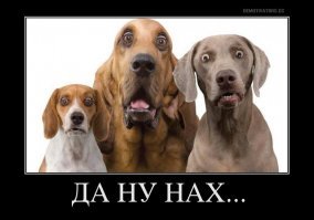Гифки