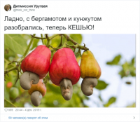 15 удивительных растений, которые вы едите, но не знаете, как они растут