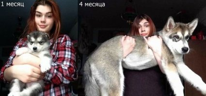 Дружба, проверенная временем