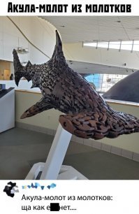 Плюшевые акулы -  почти как люди!