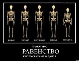 Прикольные и смешные картинки