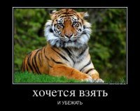 И умрёшь уставший