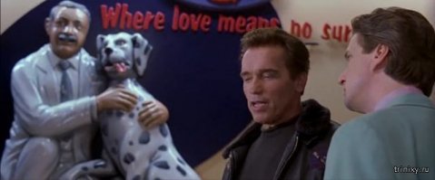 Китаянка решила клонировать умершую собаку