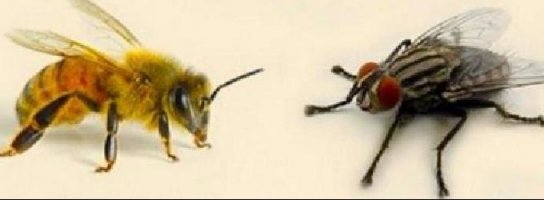 Комменты, как всегда ))