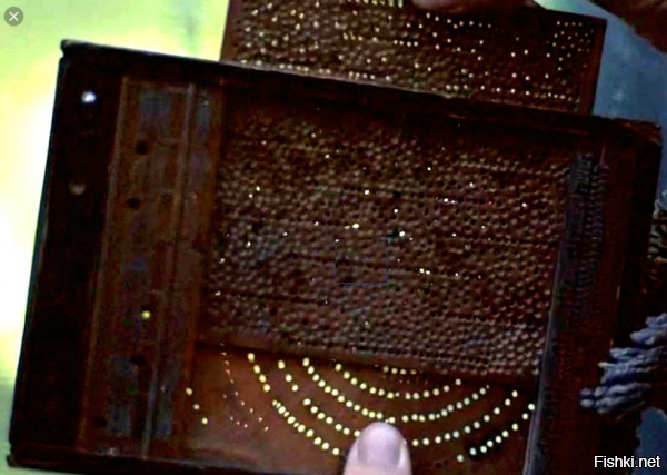 Привет я сам с Альфа-центавры горы немного знаю. Кажется такие находятся в Солнечной системе на Земле......