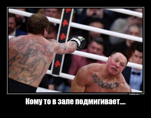 Бой Емельяненко - Кокляев закончился нокаутом в первом раунде