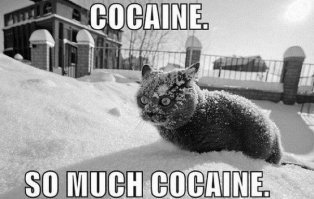 Выгоды потепления для России и зелёный страх европейцев