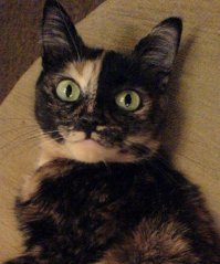 Моя Ксюшенька - тоже.  Столько лет прошло, а сердце щемит при мысли о ней...