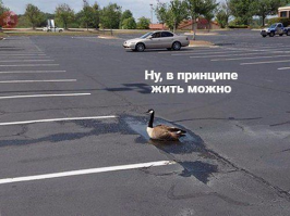 Олег Комолов: Безработица
