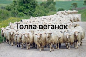 Часть - альфонсы, часть - приколисты,  остальные классические идиоты со спермотоксикозом.