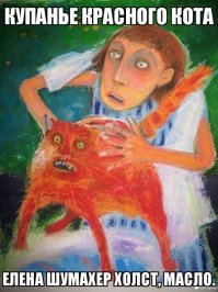 Обиженный купанием кот стал звездой соцсети