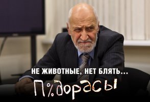 Прикольные и смешные картинки