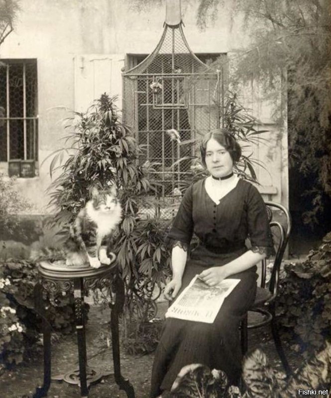 Красавицы со старых фотографий: что скажете о них сегодня?