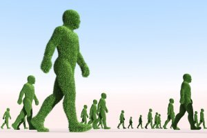 Как Тузик тряпку... Шаблоны, которые в очередной раз порвали