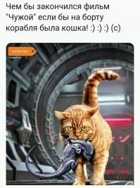 Картинки с надписями