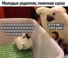 Почему дети плачут?!
