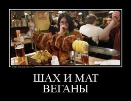 Доказано наличие у растений громкого «крика боли»