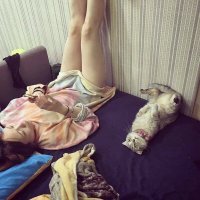 Почему кысь без телефона? Это дискриминация по меховому признаку.