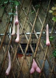 Вьетнамская дыня