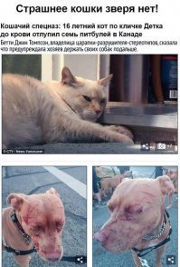 Была, да не та))