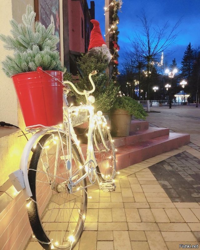 Таки у нас не Лондон и рановато пока наряжаться, но вот несколько фоток прошлого украшательства нашего городка и одна (первая) совсем свежая-так выглядит у нас пирс. Ну и самое главное наше украшение))) Котик сидит на лампе подсветки здания.
