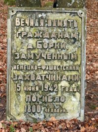 В Белоруссии много деревень уничтоженных, взять те-же Борки где убили около 1800 человек - к слову в Хатыне 149.