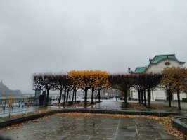 Только что оттуда. ЛюбуйтесЯ: