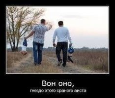 Намешалось
