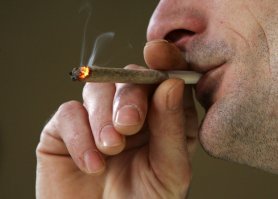 Сидели, сидели голландские ученые, делать было нехрен. Решил котеек поизучать, а чёй-то оне по коробкам шастают?