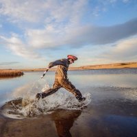 Прикольные и смешные картинки