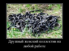 Юмор