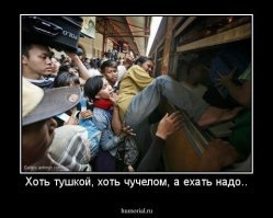 Прикольные и смешные картинки