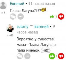 Прикольные и смешные картинки