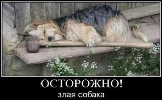 Осторожно, злая собака!
