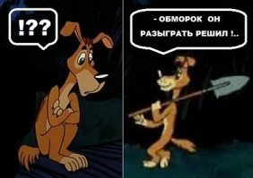 Точно!
Вот пёс - другое дело!