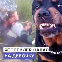 Им это докажи: