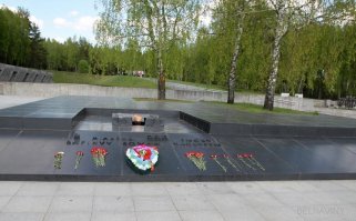 Был в Хатыни.
Плакал около этих берёзок.
Мне было 13 лет.
Тогда они были чуть выше меня.