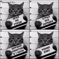 Прикольные и смешные картинки