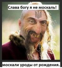 Из хранилища вещдоков во Внуково исчезли 105 килограмм наркотиков