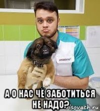 Создатели социальной рекламы в Орле перепутали ветеранов с ветеринарами