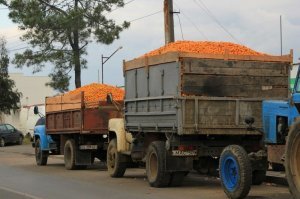 Что за номера на "Газ"онах? В какой это стране?